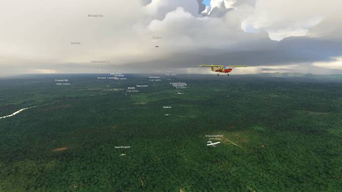 Microsoft Flight Simulator 8_2_2021 1_31_29 PM