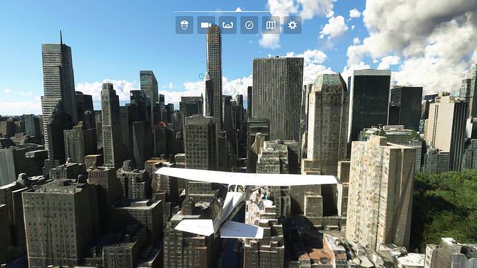 Microsoft Flight Simulator (29)