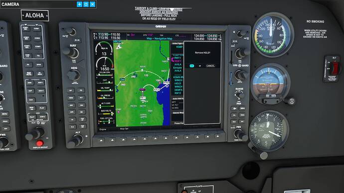 Microsoft Flight Simulator Screenshot 2021.08.30 - 15.02.34.79