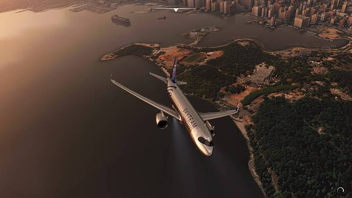 Microsoft Flight Simulator 07.08.2021 20_19_08