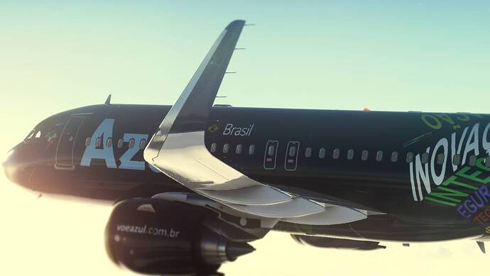 Microsoft Flight Simulator 23_09_2021 03_28_36