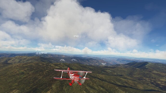 Microsoft Flight Simulator - 1.21.18.0 17.01.2022 22_25_41