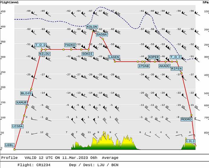 flight plan