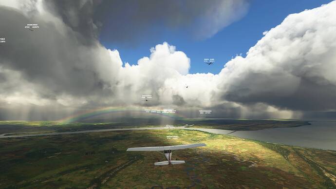 Microsoft Flight Simulator - 1.18.14.0 02.08.2021 20_50_12