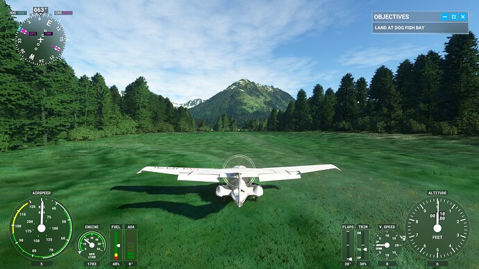 Microsoft Flight Simulator Screenshot 2023.08.23 - 23.36.27.49