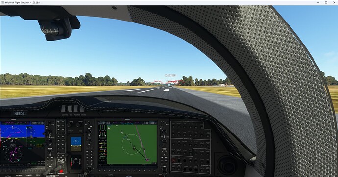 Microsoft Flight Simulator 21-Nov-22 10_16_34 PM