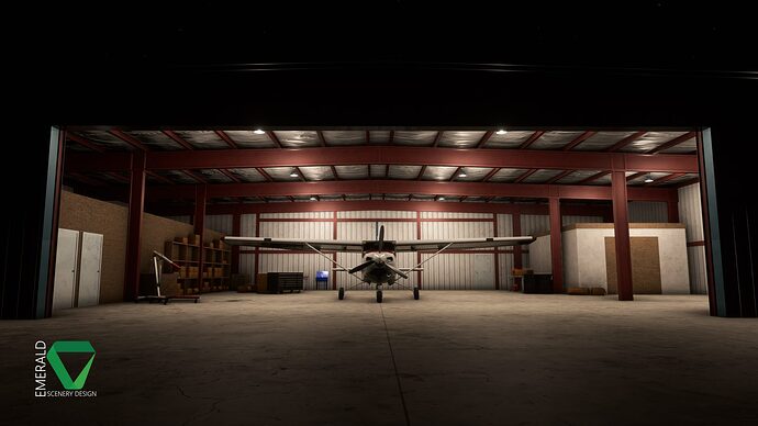 ESD_Bald_Eagle_Airfield_Myakka_Head_8