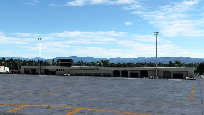 Microsoft_Flight_Simulator_Screenshot_2021.07.30_-_22.08.01.85