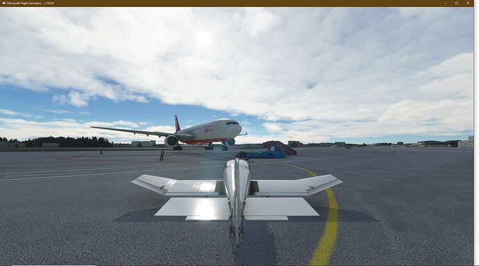 FlightSimulator_Cn6KZ4Oely