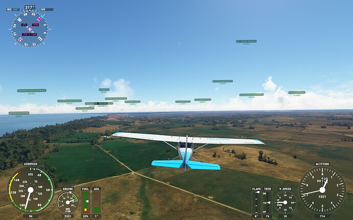 Microsoft Flight Simulator 8_04_2022 11_38_44 p.m.