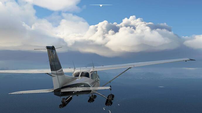 Microsoft Flight Simulator 04.08.2021 17_49_09