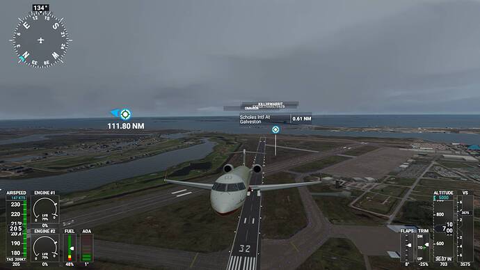 Microsoft Flight Simulator 5_21_2021 10_50_24 AM