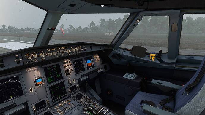 Microsoft Flight Simulator 22.08.2021 13_44_47
