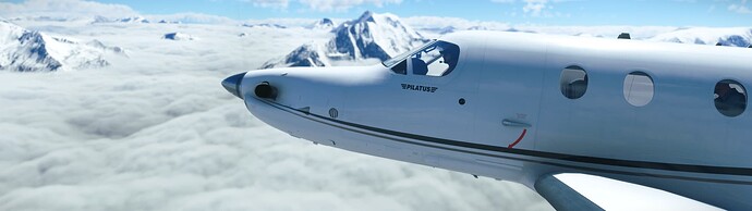 Microsoft Flight Simulator Screenshot 2023.12.04 - 20.44.12.36