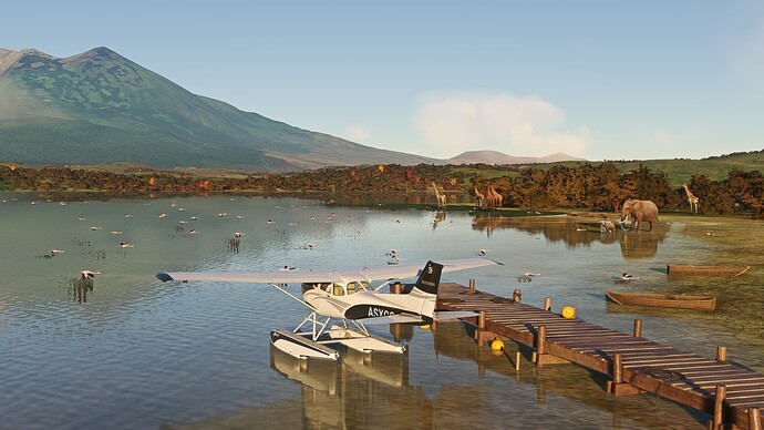 Microsoft Flight Simulator Screenshot 2022.12.04 - 16.41.26.82