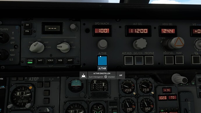 Microsoft Flight Simulator (78)