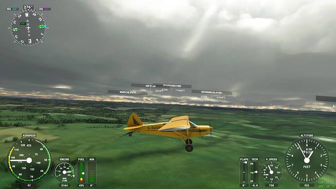Microsoft Flight Simulator Screenshot 2021.07.30 - 21.35.16.04