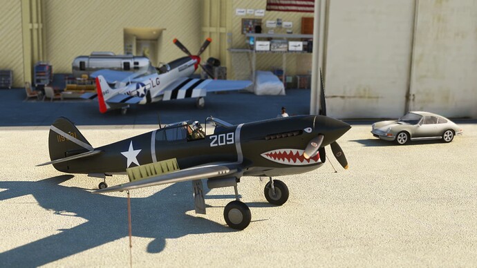 Microsoft Flight Simulator-2025_01_05-19-08-11