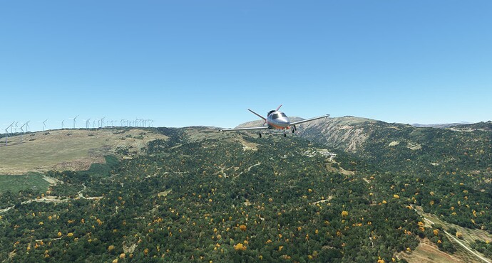 Microsoft Flight Simulator 8_22_2023 12_29_37 PM