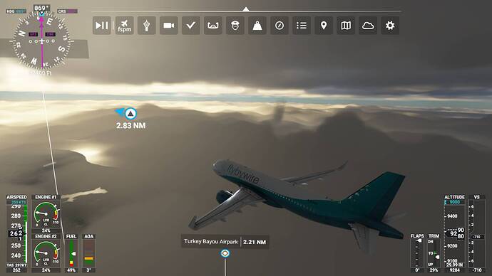 Microsoft Flight Simulator 5_18_2021 5_05_17 AM