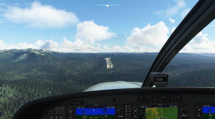 Microsoft Flight Simulator 9_5_2021 10_10_55 AM