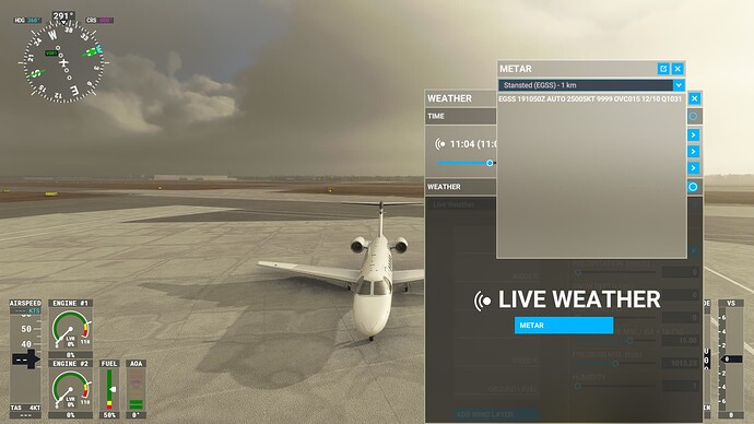 Microsoft Flight Simulator Screenshot 2021.11.19 - 16.34.22.91
