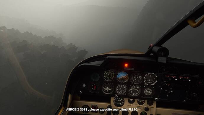 Microsoft Flight Simulator 23.07.2021 17_08_44