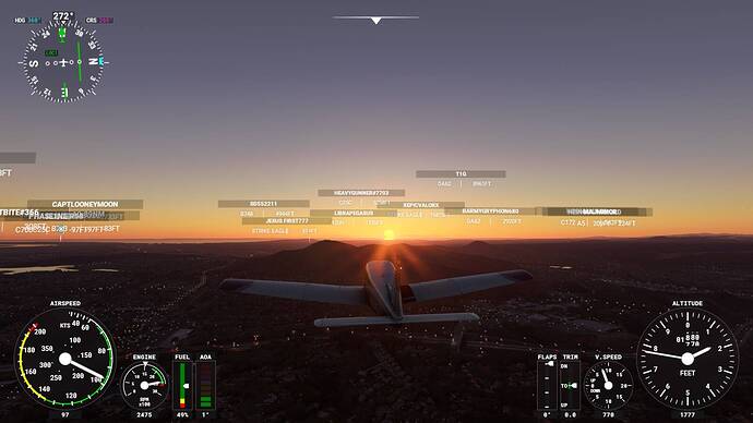 Microsoft Flight Simulator 7_30_2021 7_44_00 PM