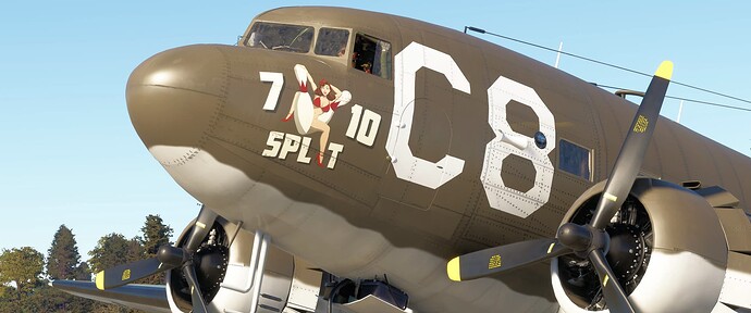 7-10 Split Nose Art Closeup