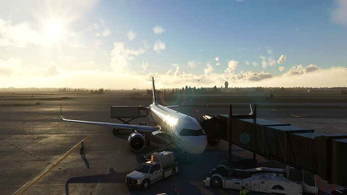 FlightSimulator_fsGNvleP2z