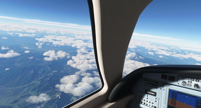 Microsoft Flight Simulator 11_5_2021 10_54_41 AM