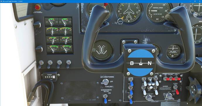 Microsoft Flight Simulator 10_4_2021 11_21_39 AM