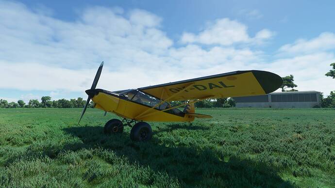 Microsoft Flight Simulator Screenshot 2021.07.21 - 16.25.07.83