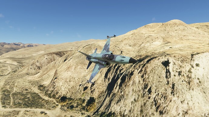 Microsoft Flight Simulator-2025_05_08-20-38-17