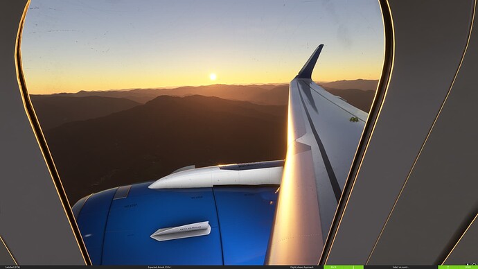 Microsoft Flight Simulator 1_10_2022 5_29_48 PM