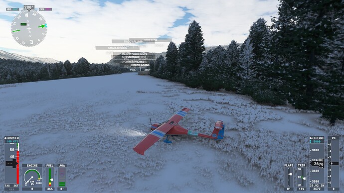 Microsoft Flight Simulator 08.01.2022 0_13_07