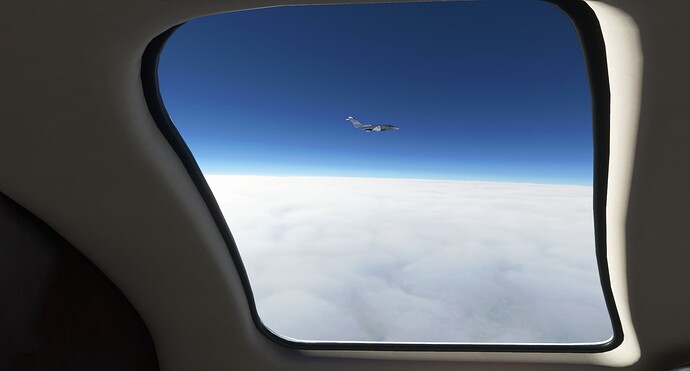 Microsoft Flight Simulator 11_5_2021 11_31_08 AM