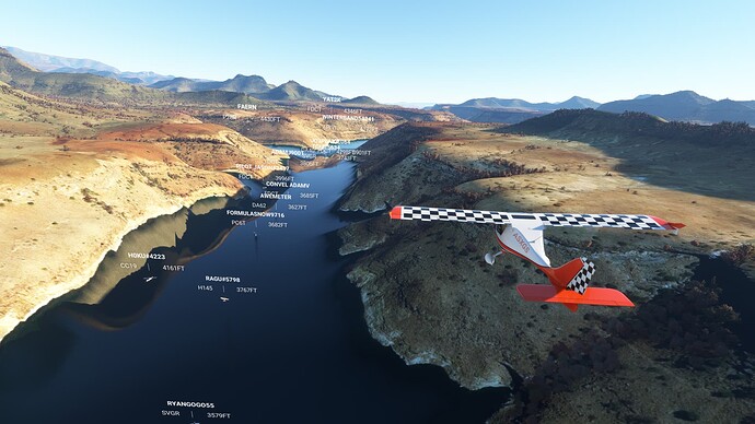 Microsoft Flight Simulator 1_23_2022 1_05_03 PM