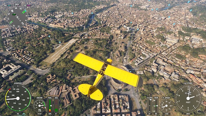 Microsoft Flight Simulator-2024_11_24-01_13_35