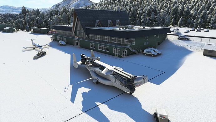 Microsoft Flight Simulator Screenshot 2022.11.04 - 23.37.05.78