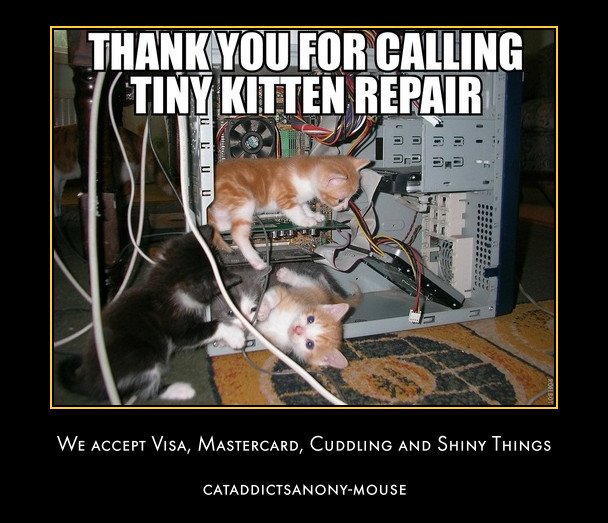 Thank You For Calling Tiny Kitten Repair