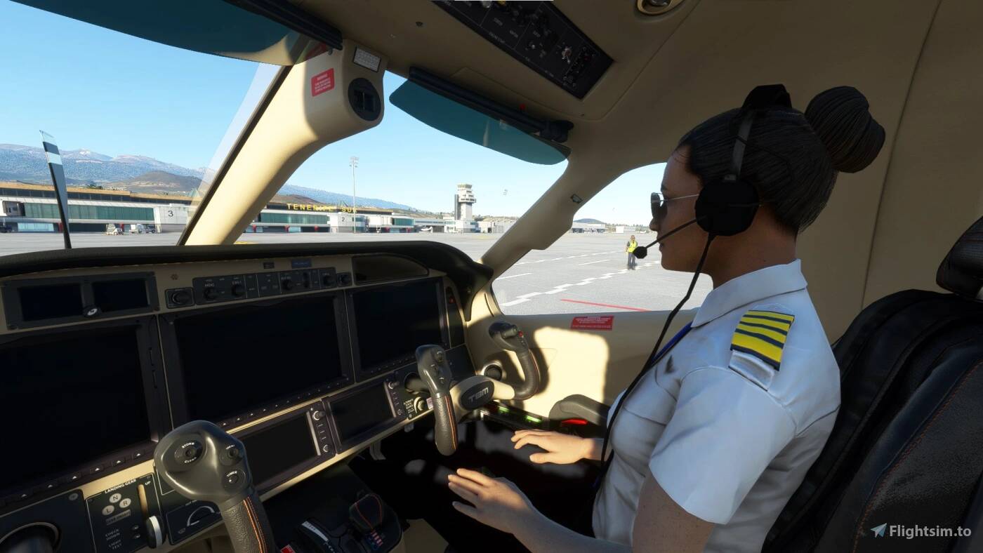 Airplane Flight Pilot Simulator for iphone instal