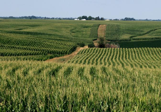 Farmland_Market_Stabilizes