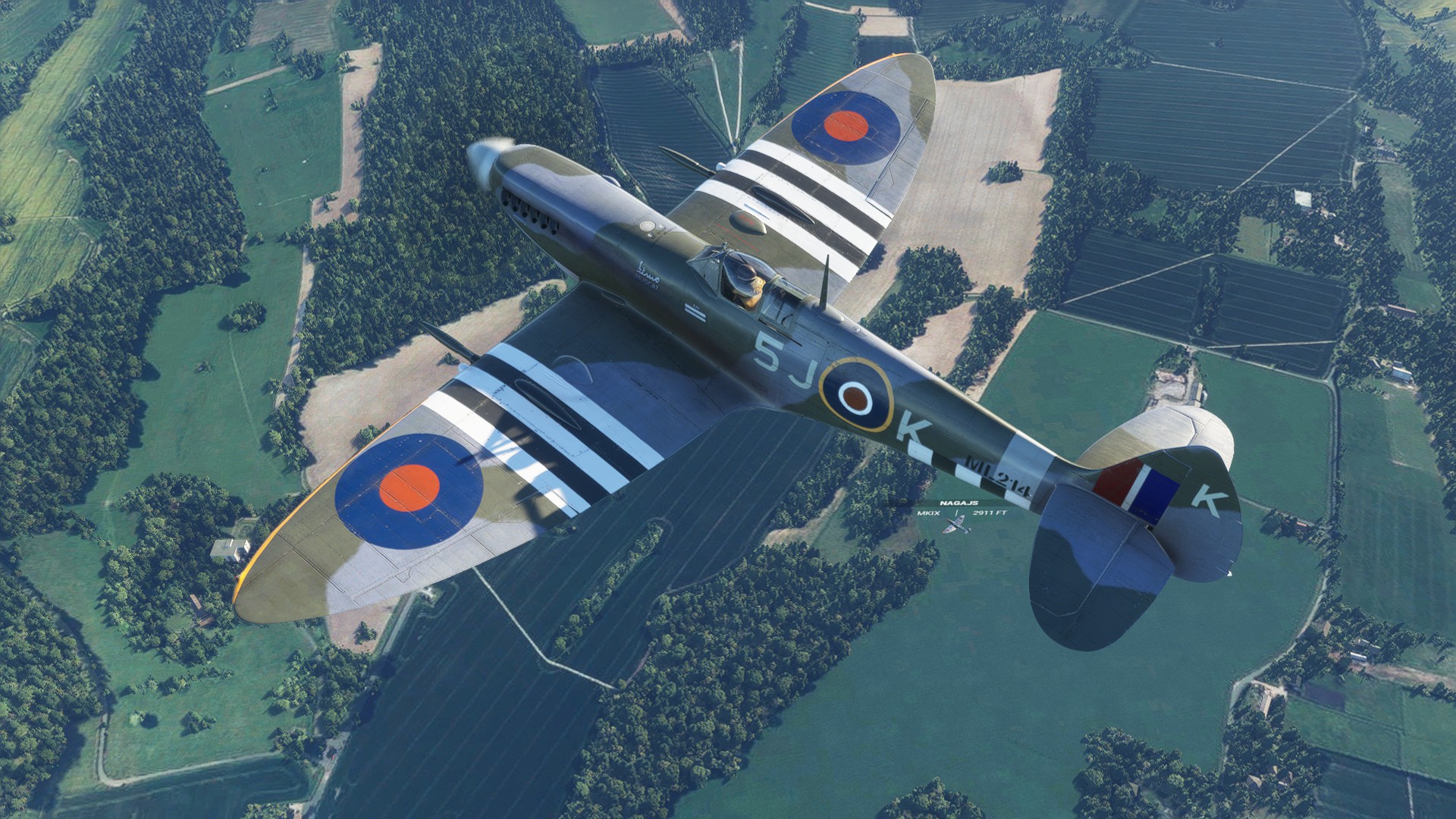 New Release : FlyingIron Simulations Spitfire L.F Mk IXc - #154 by ...