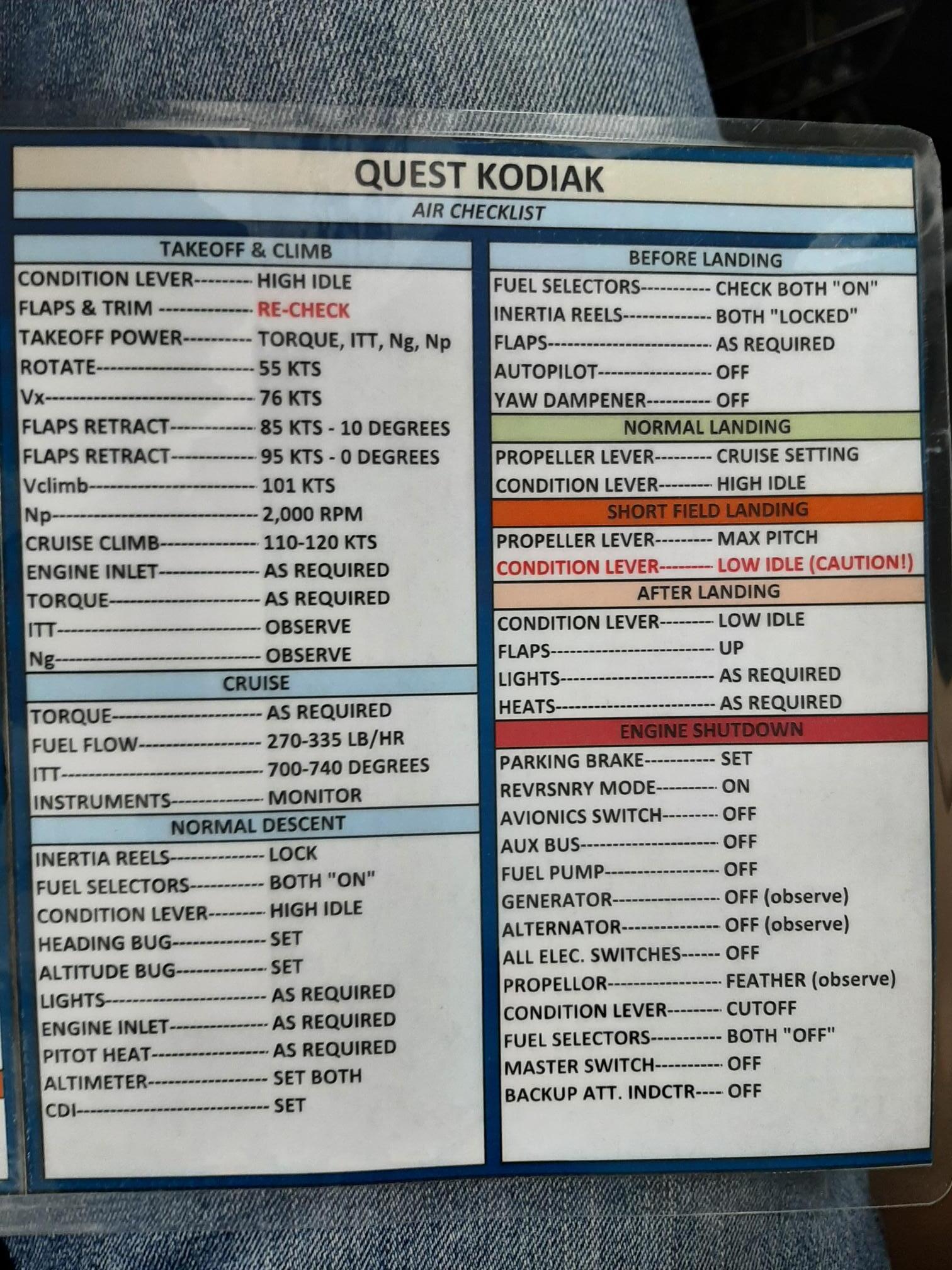 kodiak 100 cruise settings