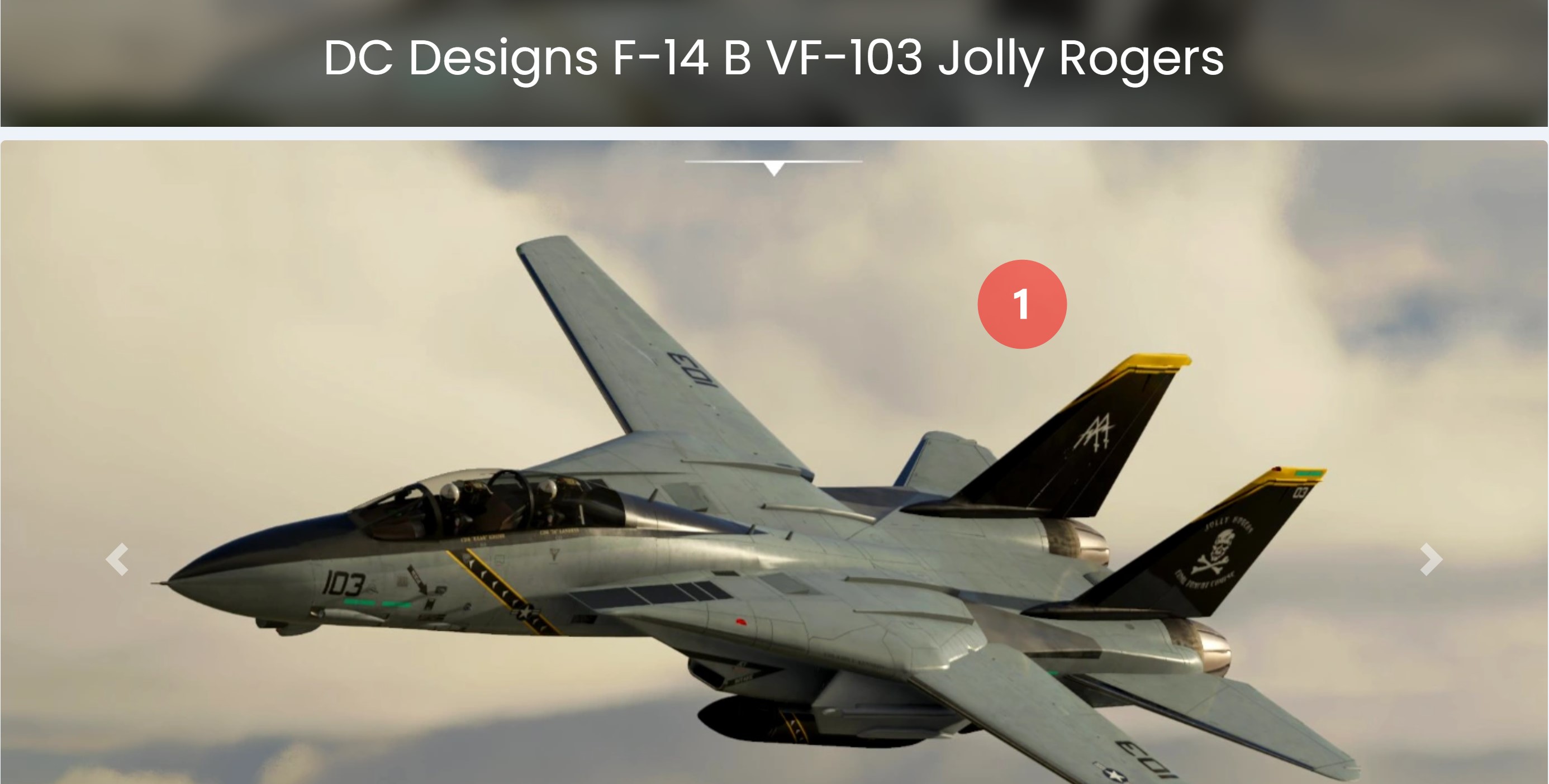 DC Designs F-14A/B Tomcat Announcement & Discussion - #489 by SAKISAPPOLON  - Aircraft - Microsoft Flight Simulator Forums