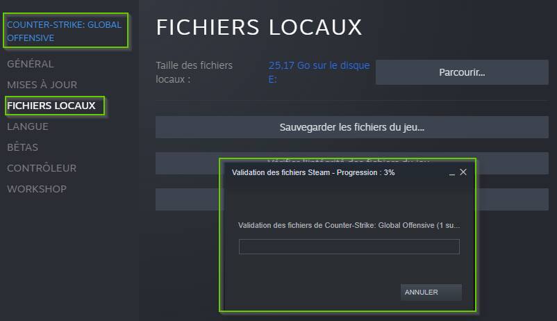 steam file integrity utility
