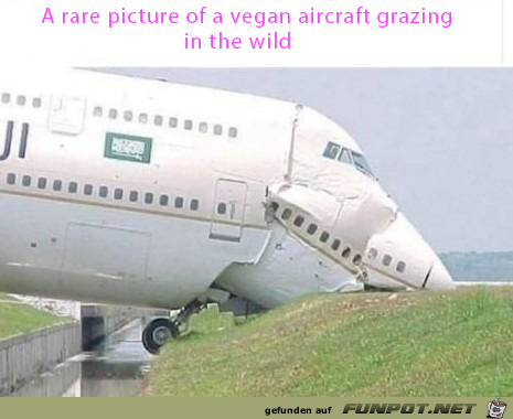 grazing aircraft