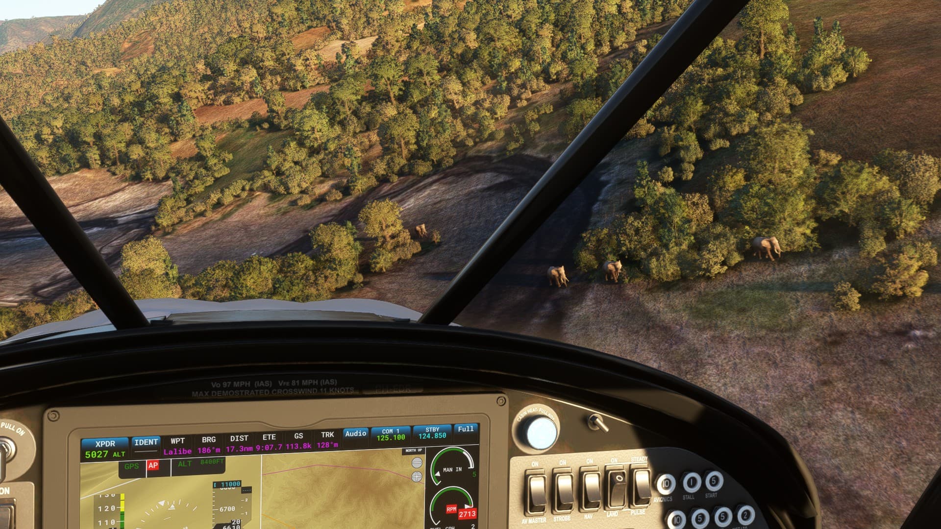 [Official] Community Fly-In Friday: World Elephant Day - Community ...