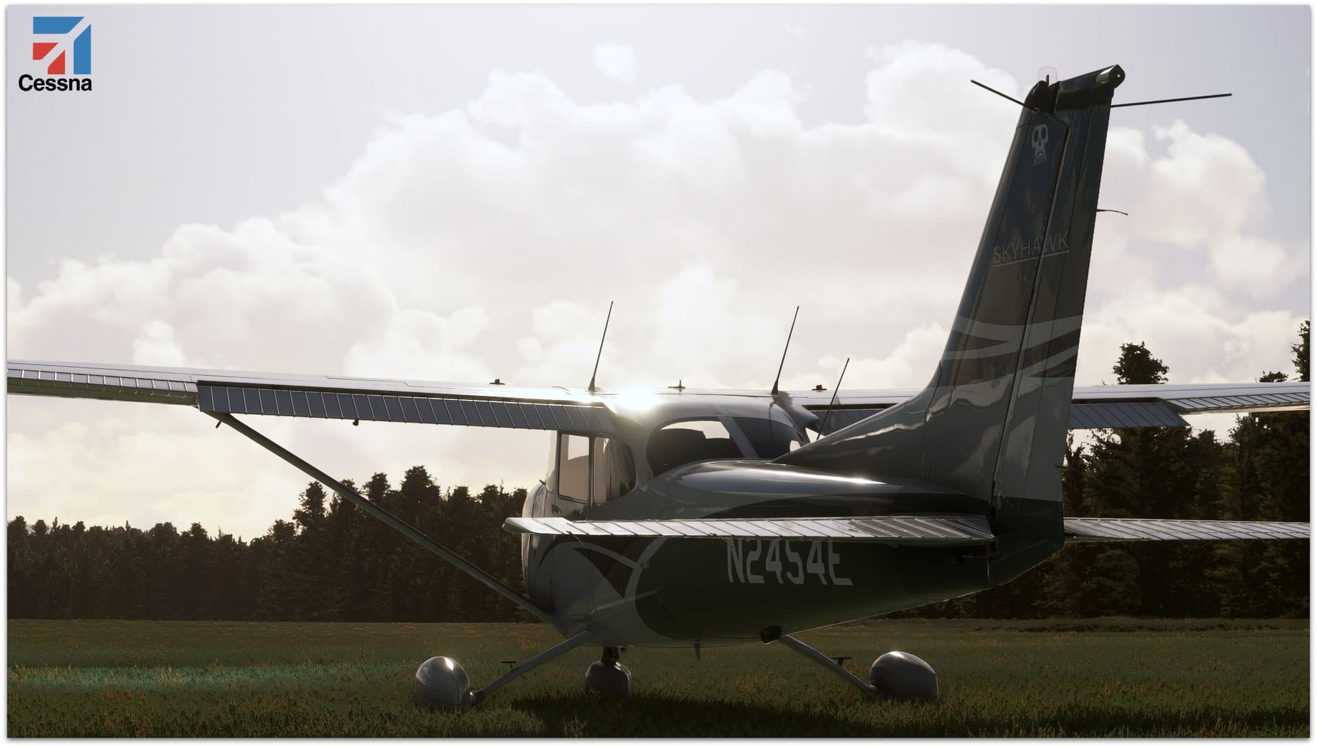 Random Screenshot Megathread 4 1191 By Medevac01 Screenshots Microsoft Flight Simulator 9037